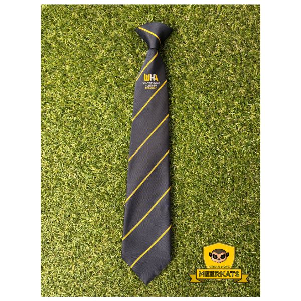 Winterstoke Hundred Academy House Tie
