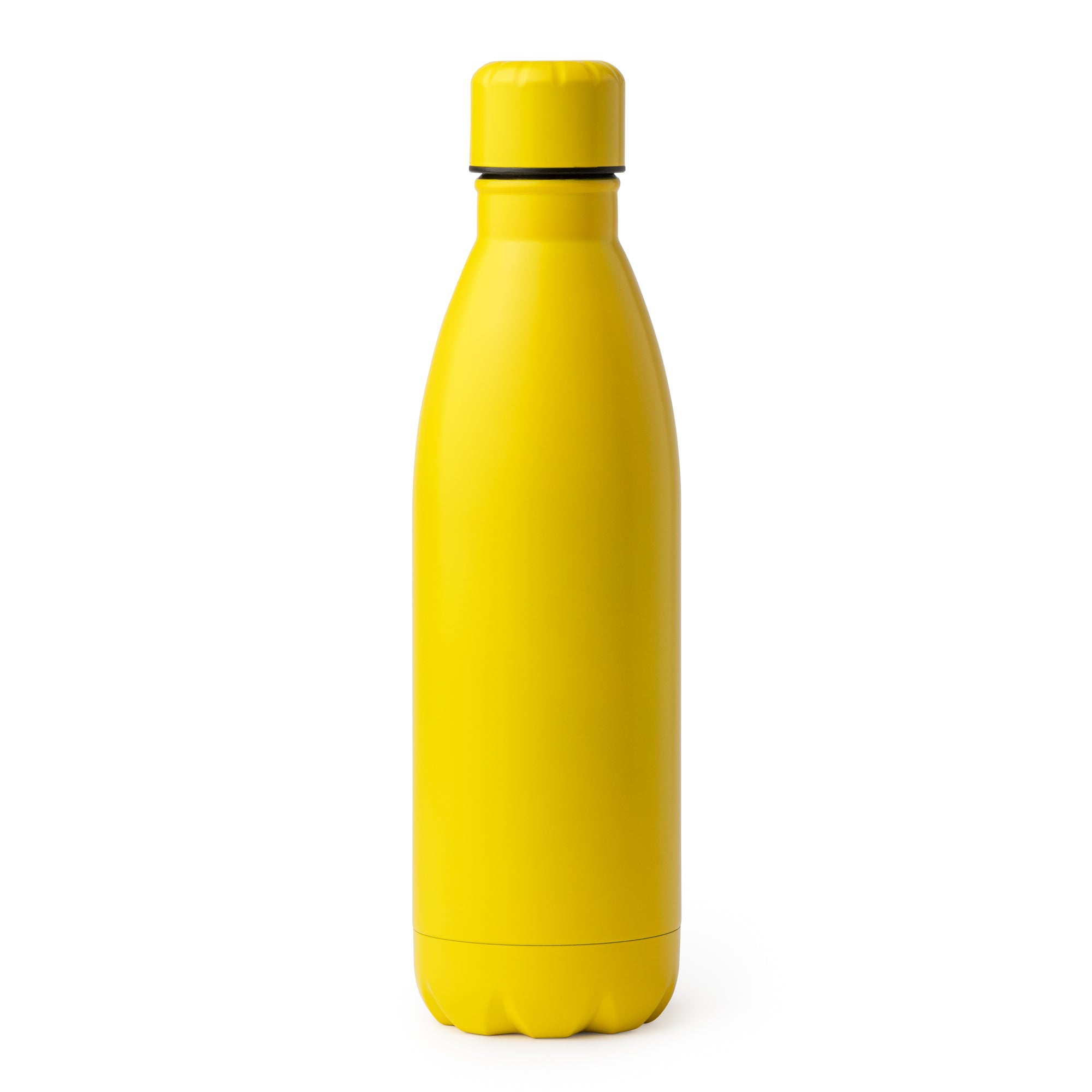Metal Water Bottle