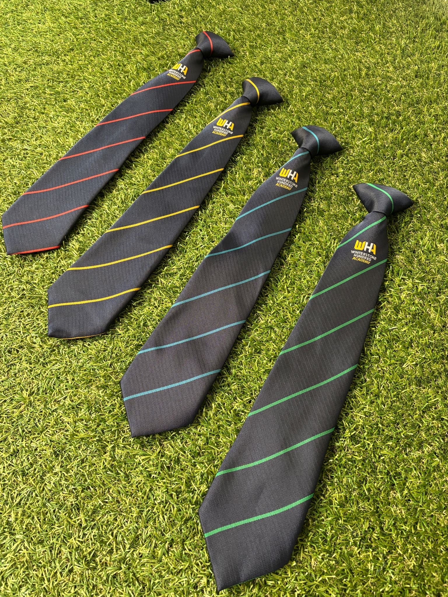 Winterstoke Hundred Academy House Tie