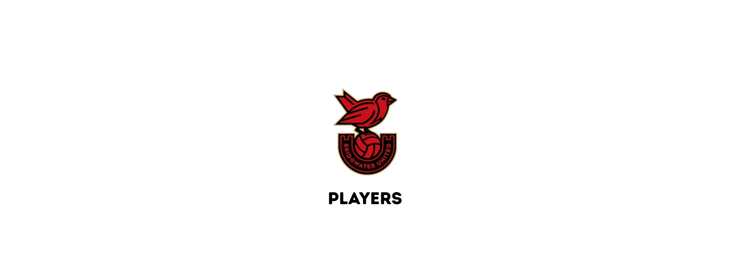 Bridgwater United Women's Players