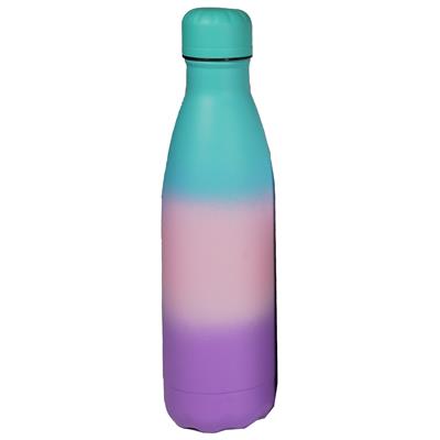 Metal Water Bottle