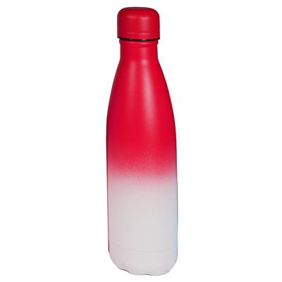 Metal Water Bottle