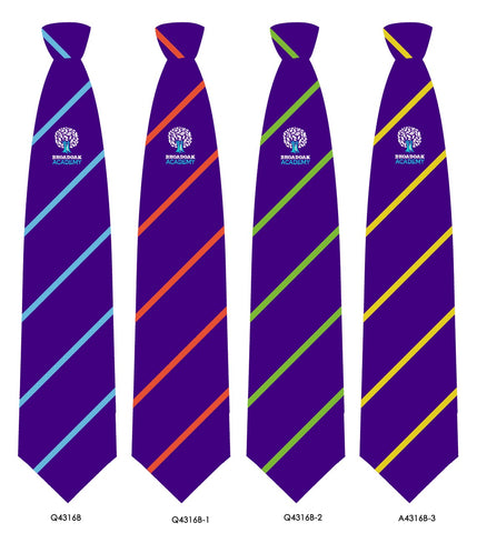 Broadoak Academy House Tie