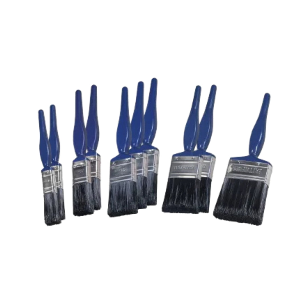 Set of 10 Paint Brushes