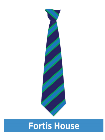 Hans Price Fortis House Green Tie